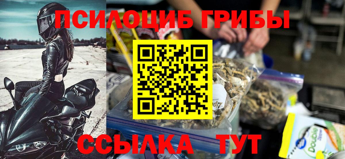Псилоцибиновые грибы Psilocybe Валуйки
